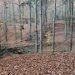 Dom Lub Z Widokiem Na Gory Wichrowe Wzgorza Z Basenem Brenna Ustroń