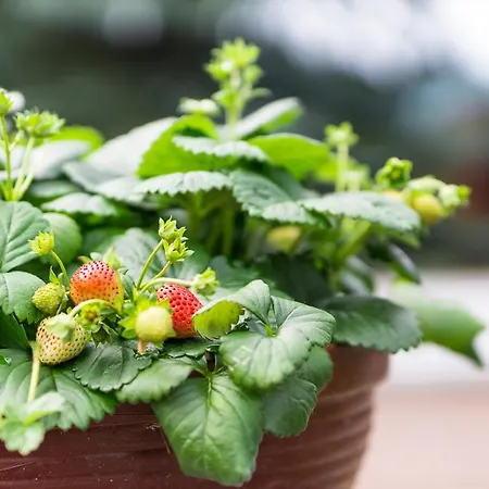 Apartament Dom Lub Z Widokiem Na Góry Wichrowe Wzgórza Z Basenem Brenna *