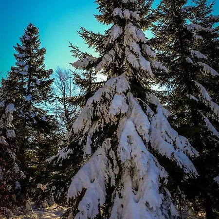 Apartamento Dom Lub Z Widokiem Na Góry Wichrowe Wzgórza Z Basenem Brenna Ustroń