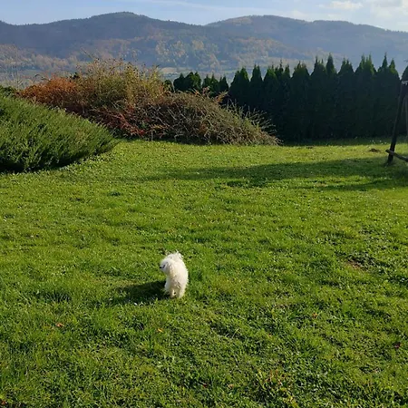 Dom Lub Z Widokiem Na Gory Wichrowe Wzgorza Z Basenem Brenna *