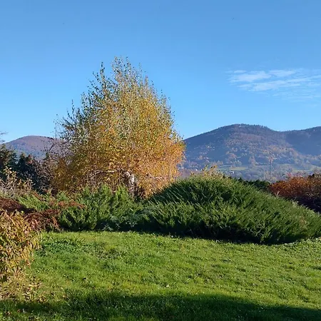 Dog Friendly Dom, Wichrowe Wzgórza Z Basenem Brenna Apartamento Ustroń