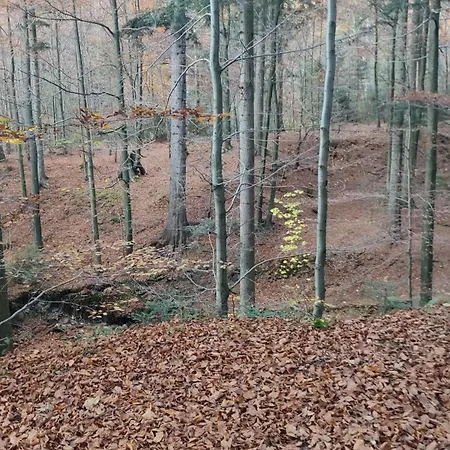 Dom Lub Z Widokiem Na Gory Wichrowe Wzgorza Z Basenem Brenna Ustroń