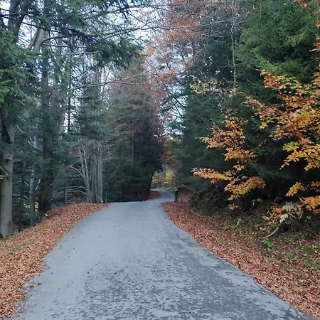 Dom Lub Z Widokiem Na Góry Wichrowe Wzgórza Z Basenem Brenna * Ustroń