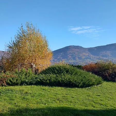 Apartamento Dom Lub Z Widokiem Na Góry Wichrowe Wzgórza Z Basenem Brenna Ustroń