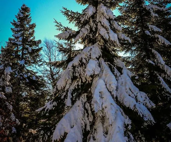 Apartment Dom Lub Z Widokiem Na Gory Wichrowe Wzgorza Z Basenem Brenna Ustron