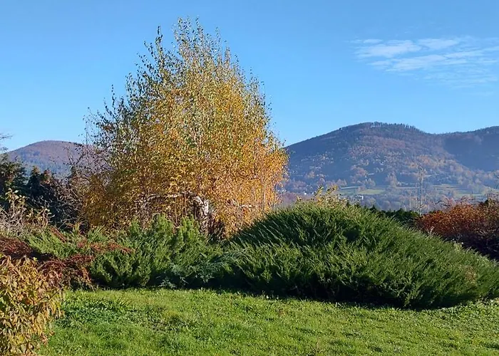 Dom Lub Z Widokiem Na Gory Wichrowe Wzgorza Z Basenem Brenna Apartment Ustron