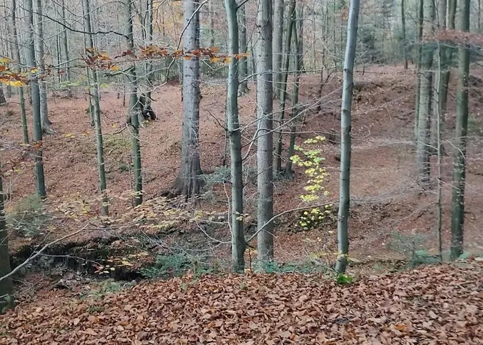 Dom Lub Z Widokiem Na Gory Wichrowe Wzgorza Z Basenem Brenna Устронь