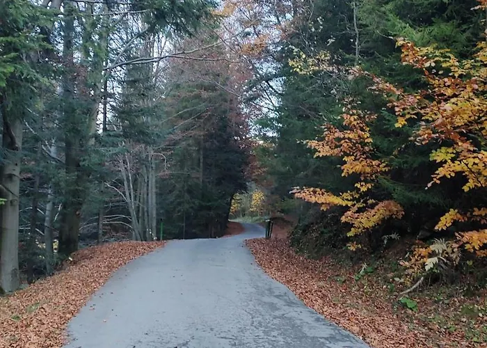 Dom Lub Z Widokiem Na Gory Wichrowe Wzgorza Z Basenem Brenna * Устронь