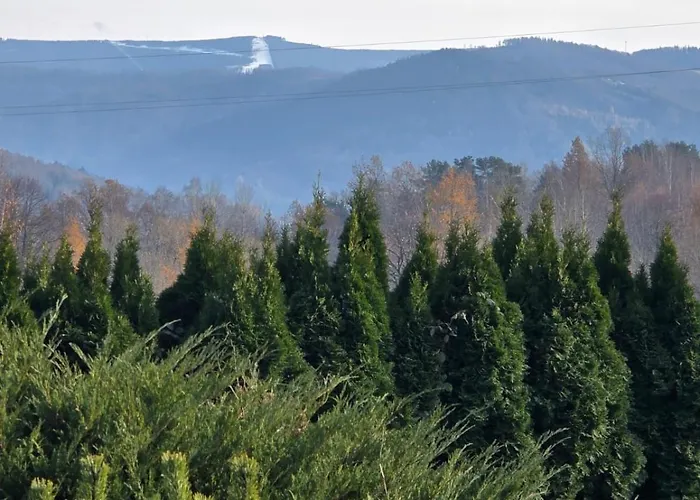 Dom Lub Z Widokiem Na Gory Wichrowe Wzgorza Z Basenem Brenna Apartment