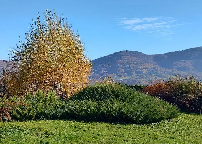 Апартаменты Dom Lub Z Widokiem Na Gory Wichrowe Wzgorza Z Basenem Brenna Устронь